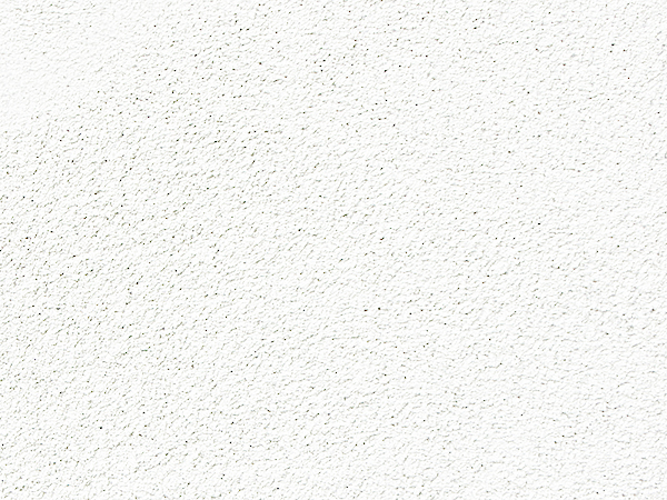 BONE WHITE BONE WHITE