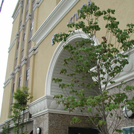 ボーダートリム 施工例