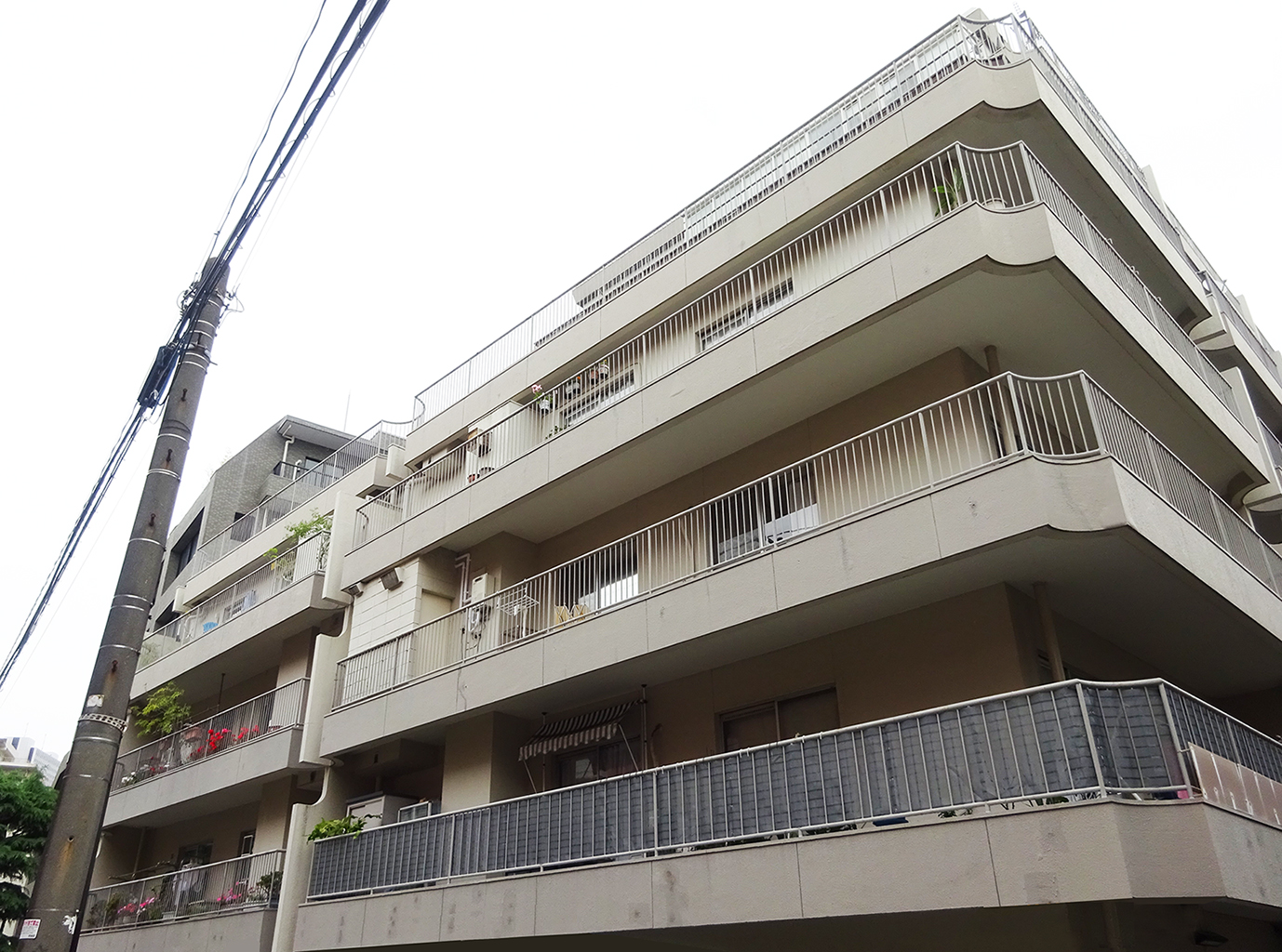 協栄メゾン代々木Before