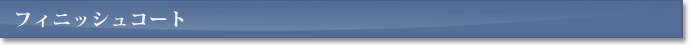 フィニッシュコート